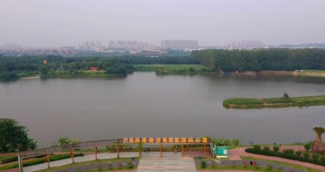 弘扬学习雷锋精神助力疫情防控,弘扬正气抗击疫情