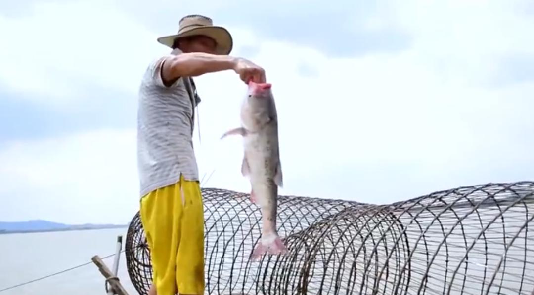 弘扬学习雷锋精神助力疫情防控,弘扬正气抗击疫情
