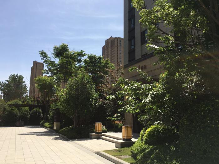 五一热销楼盘探盘,五桥哪个楼盘性价比最高