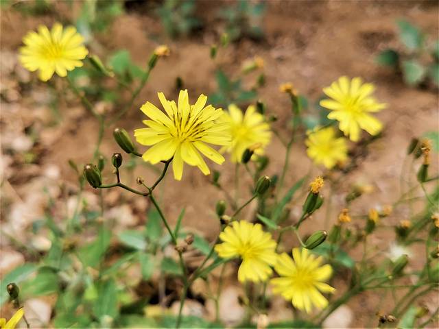 北京「延庆」北京小漓江与神密穴居文化