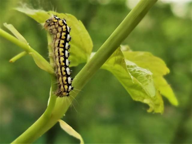 北京「延庆」北京小漓江与神密穴居文化