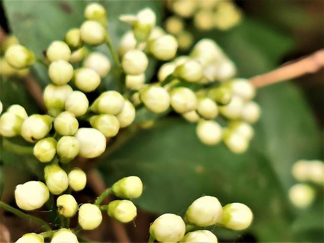 北京「延庆」北京小漓江与神密穴居文化