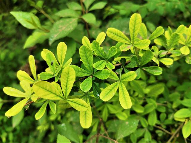 北京「延庆」北京小漓江与神密穴居文化