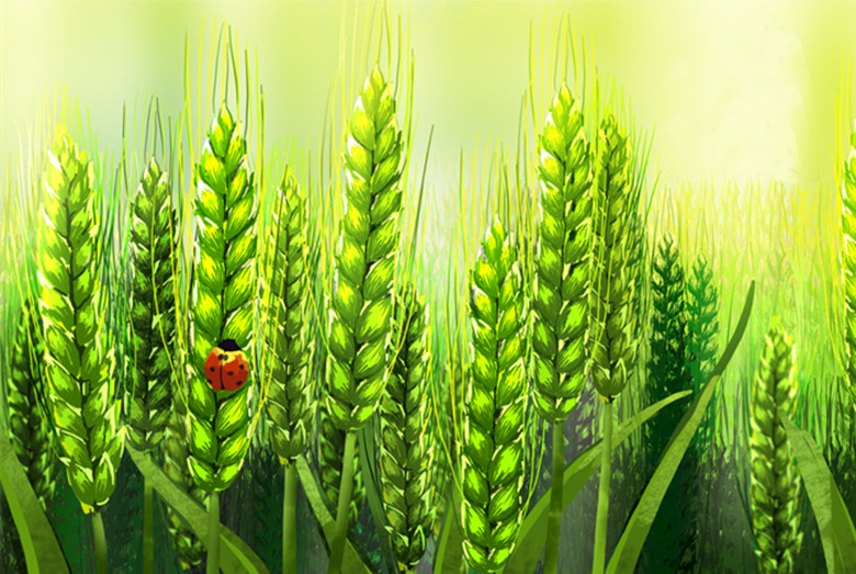 二十四节气歌顺口溜是谁编的,二十四节气顺口溜完整版下载