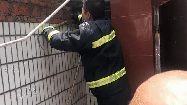 惊悚！锡城近日，蛇出没频繁，遇到它这么办？戳→