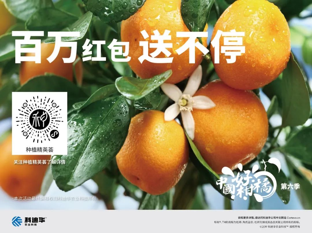 先抑后扬的2020年，该怎样走下去？