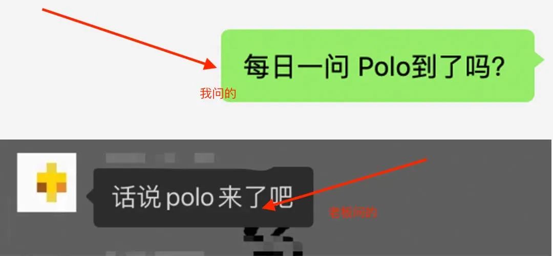 拉夫劳伦polo打折,店庆大优惠