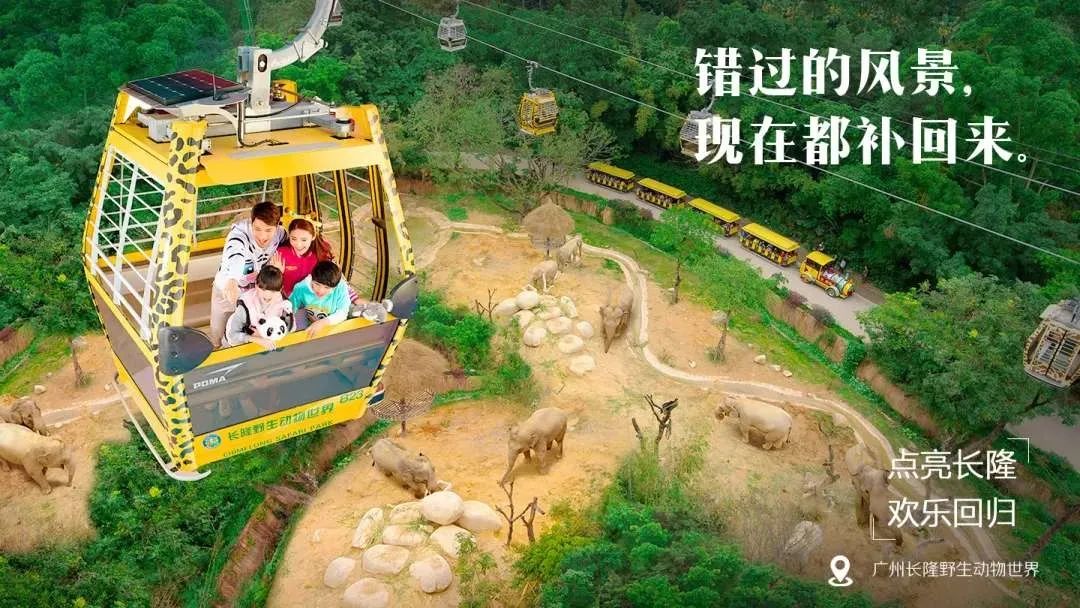 广州长隆野生动物世界何时建成,广州长隆野生动物园有白狮