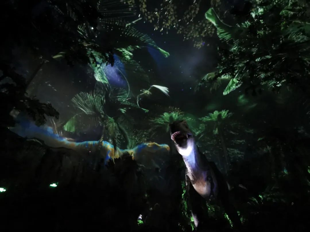 广州长隆野生动物世界何时建成,广州长隆野生动物园有白狮