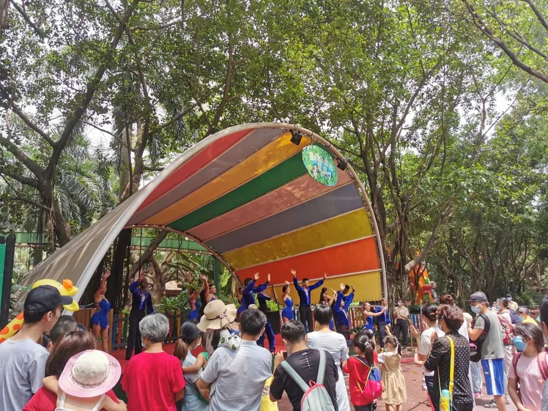 广州长隆野生动物世界何时建成,广州长隆野生动物园有白狮