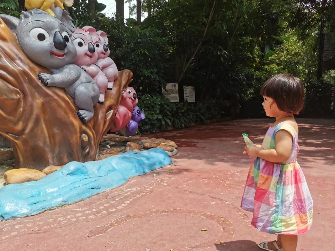 广州长隆野生动物世界何时建成,广州长隆野生动物园有白狮