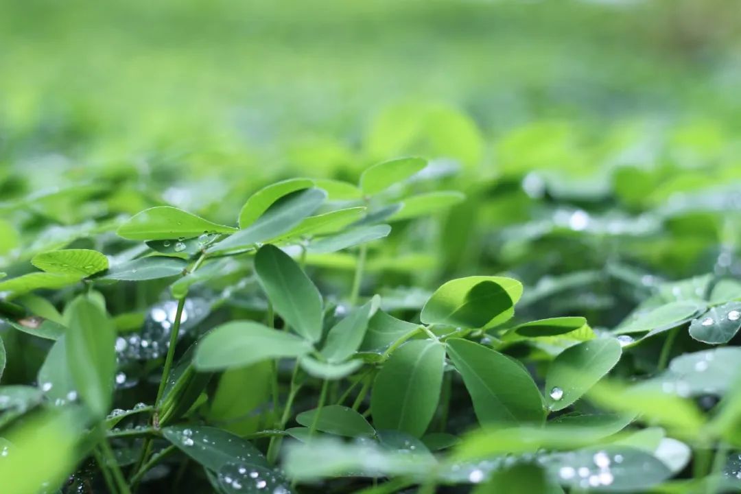 积极选择手术或有创性治疗方法|《更年期的智慧》第八章第6节