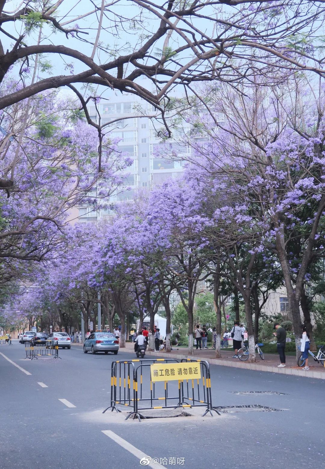 昆明网红打卡景点攻略,昆明最火网红打卡景点冬季