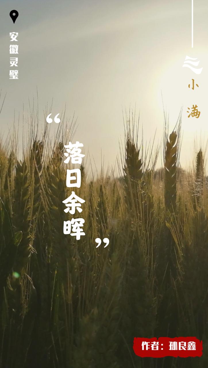 创意小满海报,小满海报设计