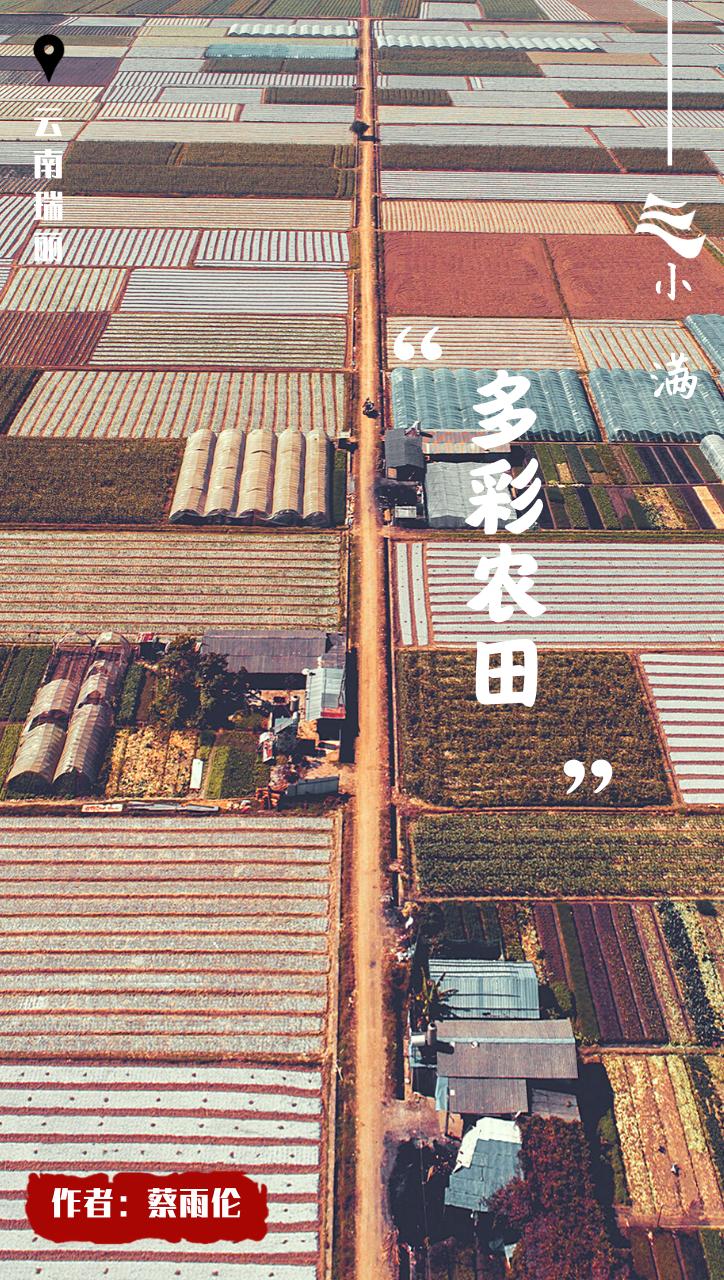 创意小满海报,小满海报设计