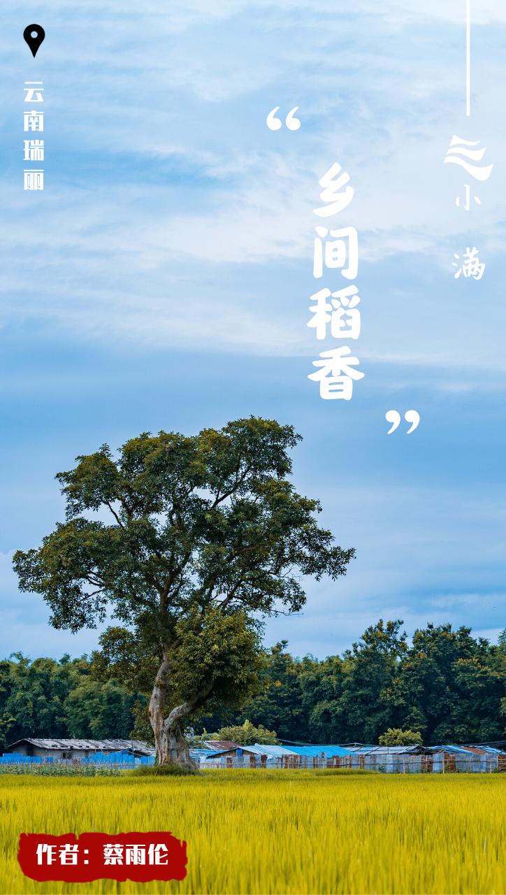 创意小满海报,小满海报设计