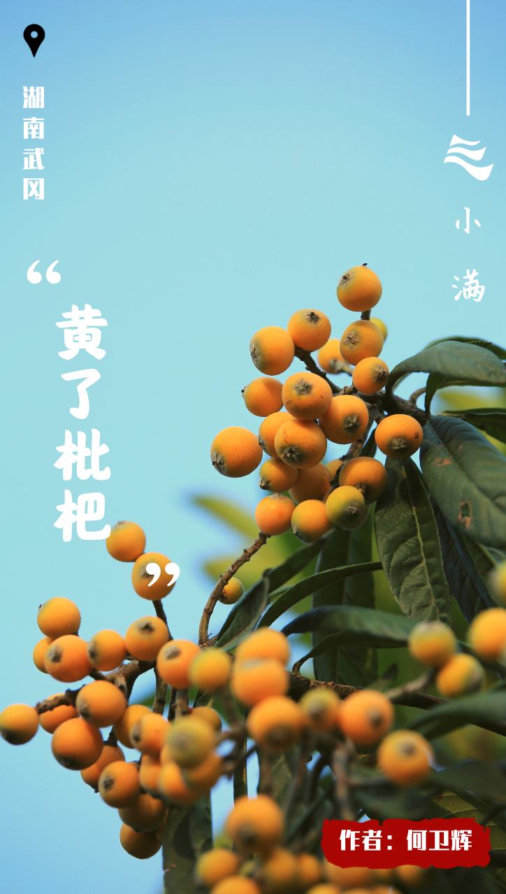 创意小满海报,小满海报设计