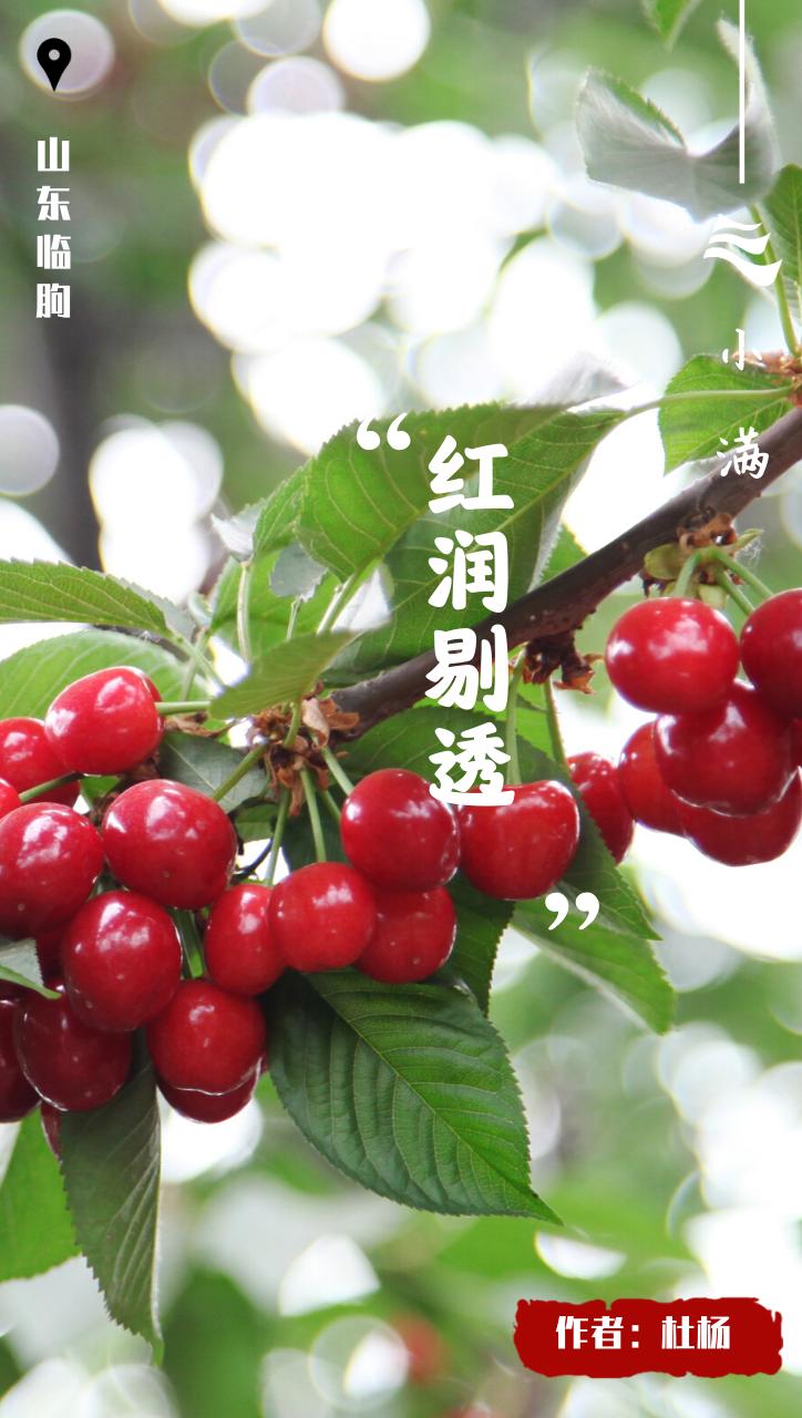 创意小满海报,小满海报设计