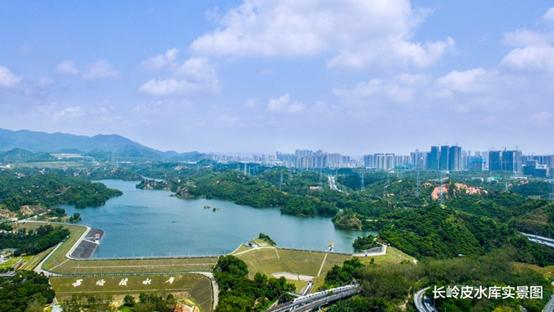 南山前海和西丽,西丽和前海哪个发展好