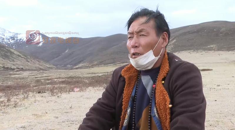 “软黄金”出土到上市！虫草商人的袖里乾坤竟是“摸手谈价”！