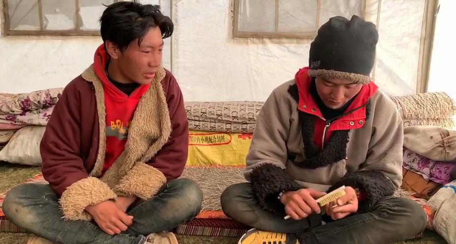 “软黄金”出土到上市！虫草商人的袖里乾坤竟是“摸手谈价”！