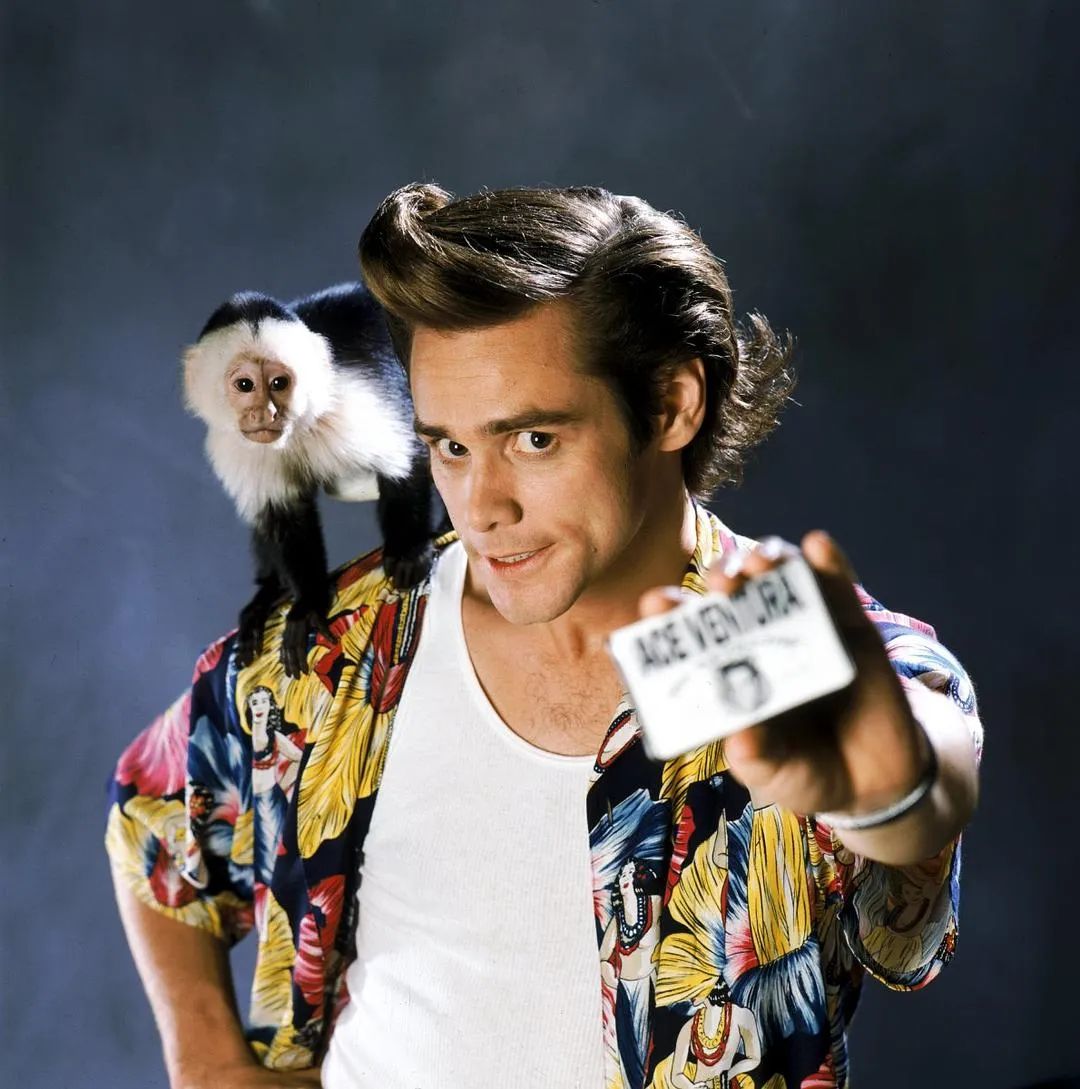 喜剧演员金凯瑞简历,金凯瑞喜剧人