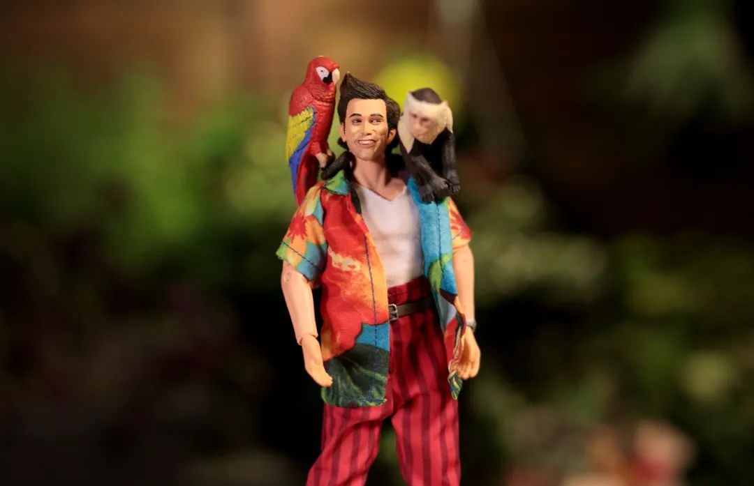 喜剧演员金凯瑞简历,金凯瑞喜剧人