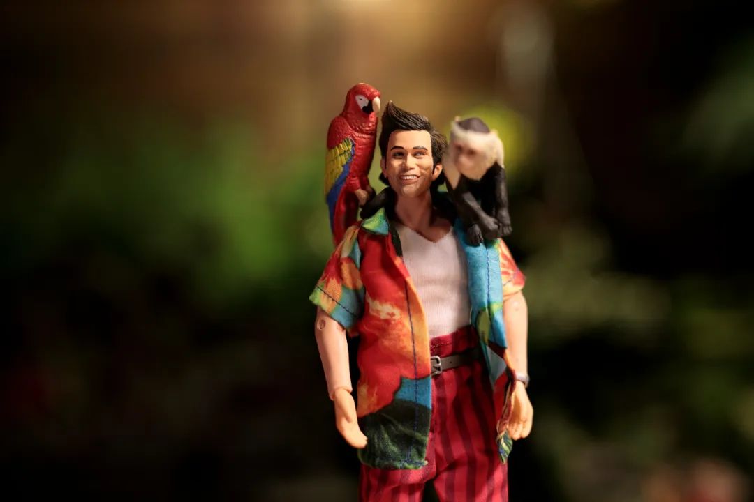 喜剧演员金凯瑞简历,金凯瑞喜剧人