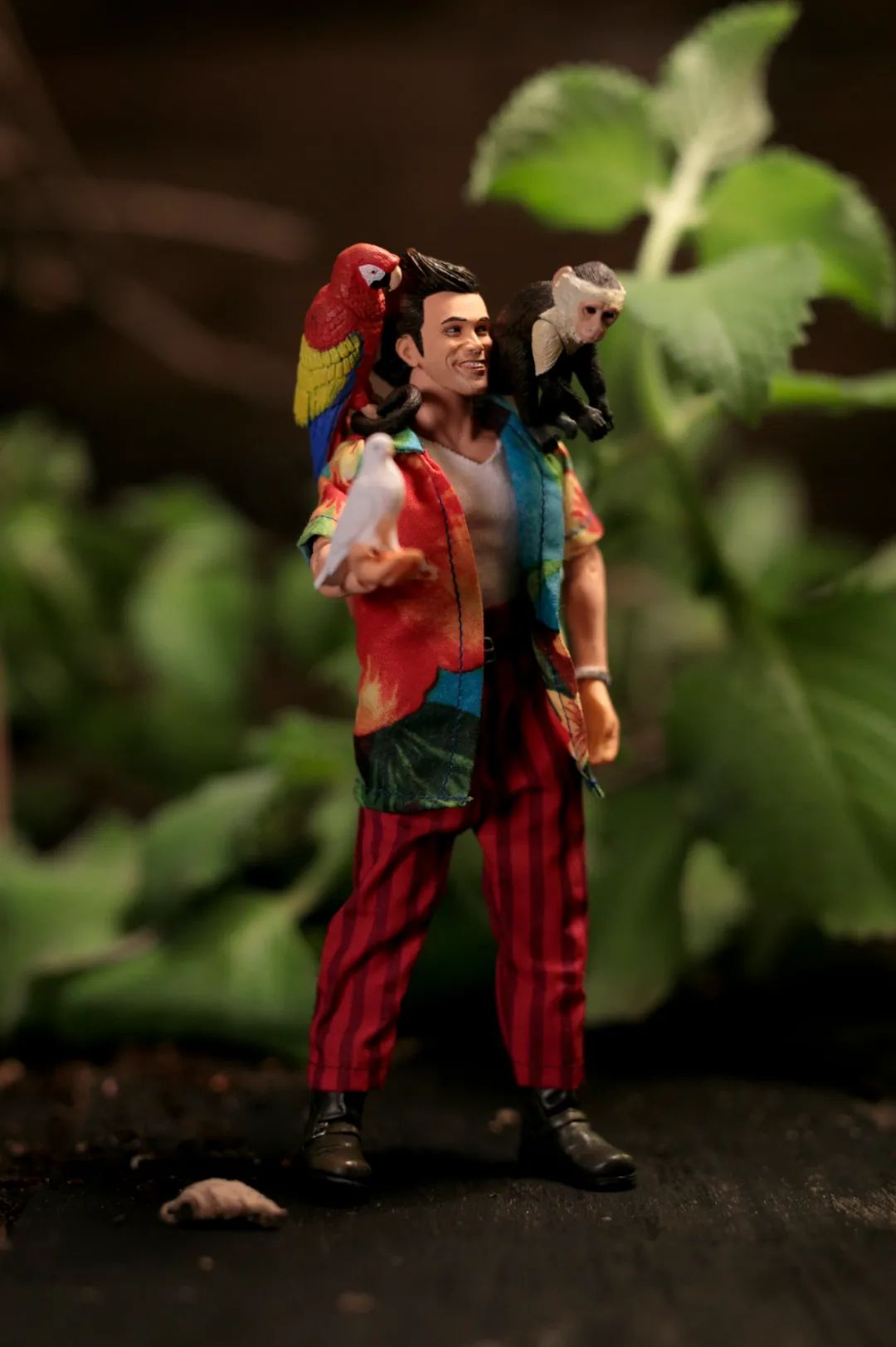 喜剧演员金凯瑞简历,金凯瑞喜剧人