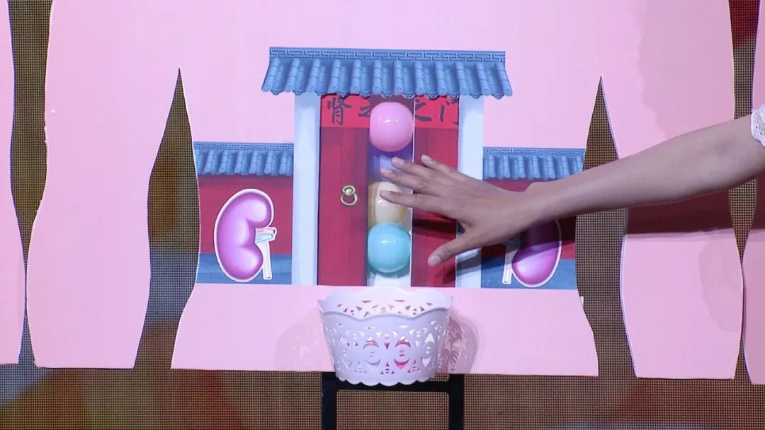 养生堂肾衰,养生堂今日视频直播