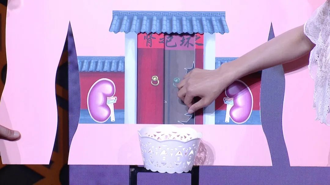 养生堂肾衰,养生堂今日视频直播