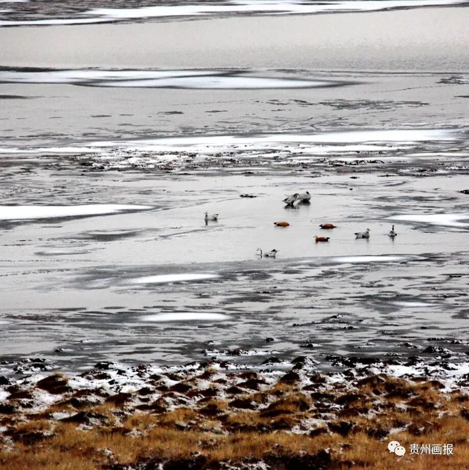 摄影家马金焰|*藏西**之行，一场触及灵魂的洗礼