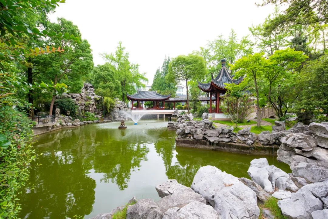 鐩哥害520缇ゆ槦鐩涘吀鏅氫細,鐩哥害琛″北