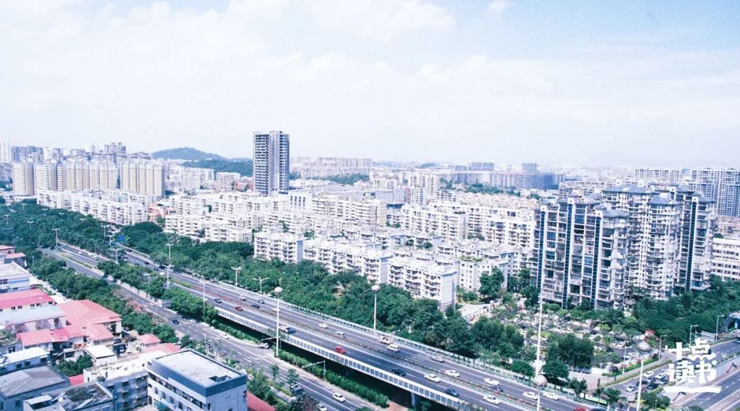 山茶文具店续期,山茶文具店最经典的话