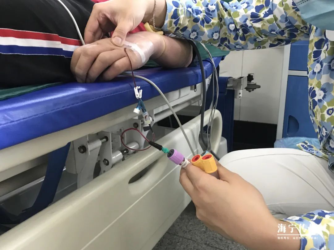 十大毒虫咬人后的症状,十大毒虫咬人了怎么办