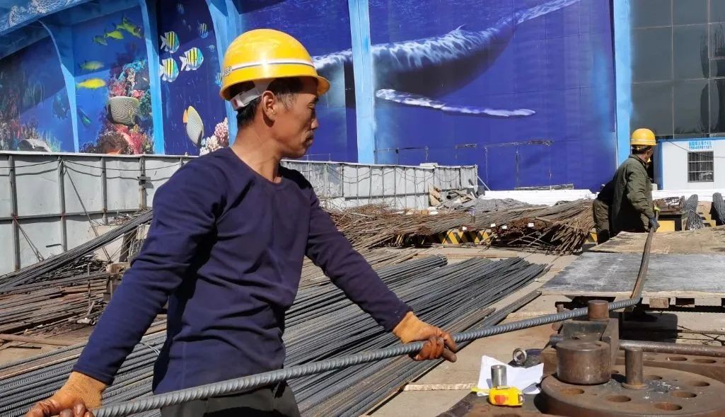 2023海洋馆东胜开放时间,东胜海洋馆演出时间