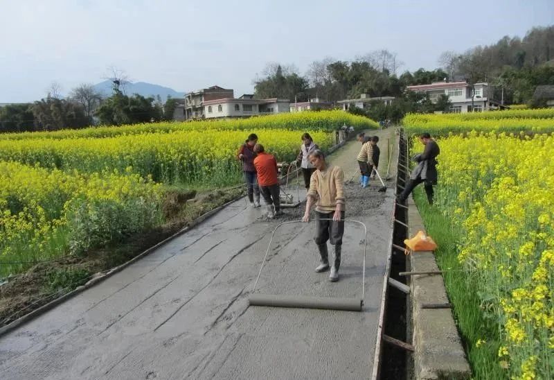 旺草镇最好的村,旺草镇