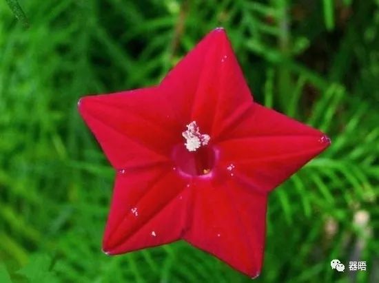 古老五角星,五角星古老的寓意