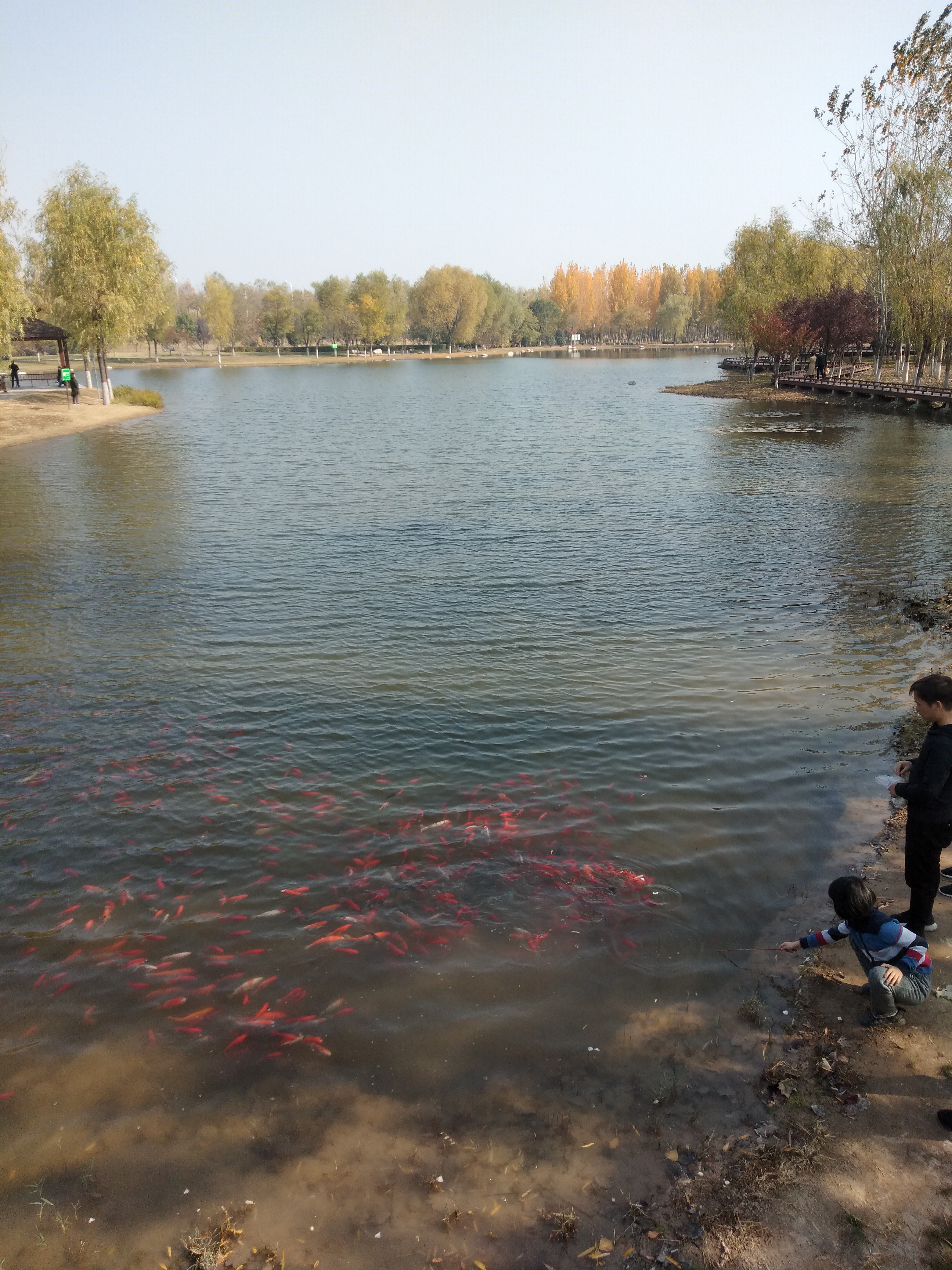 台钓发展历程,一套完整的台钓装备