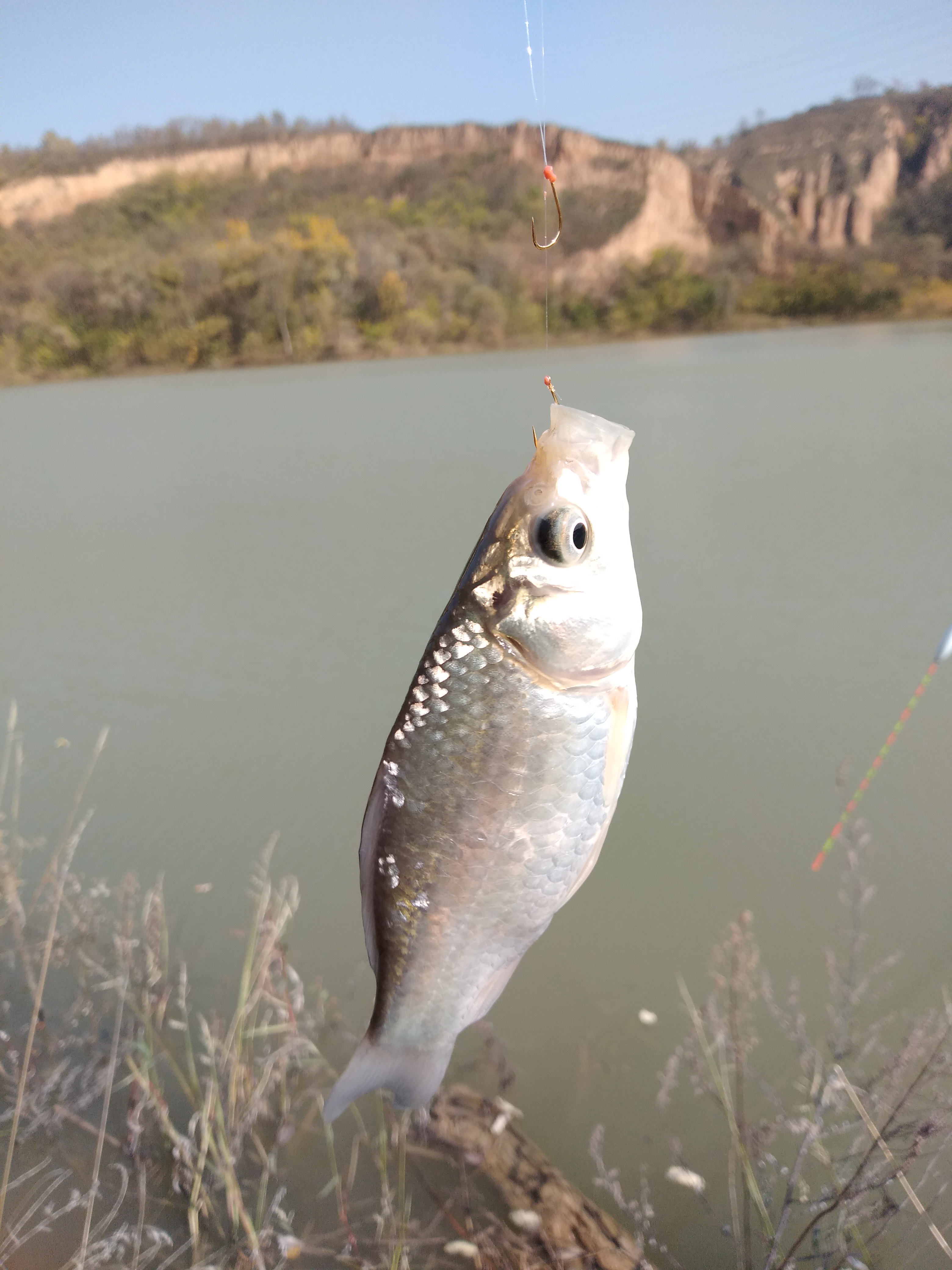 台钓发展历程,一套完整的台钓装备