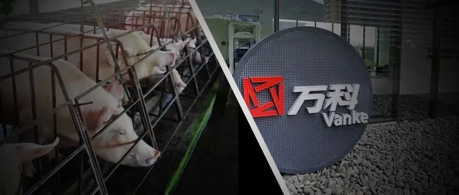 地产大佬转型农业,地产大佬做什么