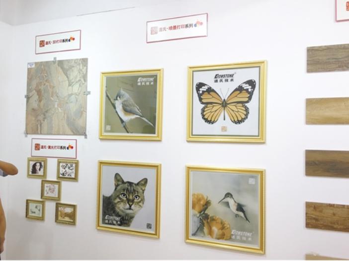 恩平做大做强再创辉煌,筑巢引得金凤栖点燃发展新引擎