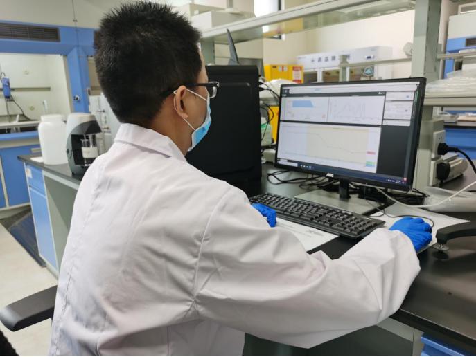 恩平做大做强再创辉煌,筑巢引得金凤栖点燃发展新引擎