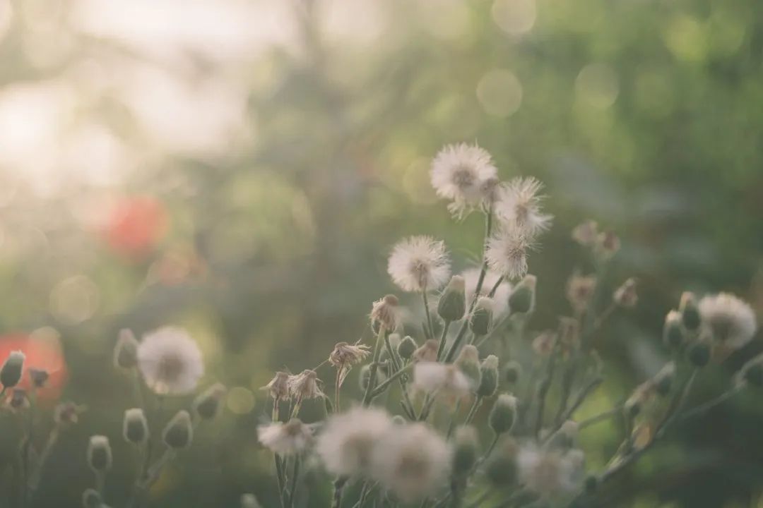 加强泌尿系健康和盆底肌肉|《更年期的智慧》第八章第7节