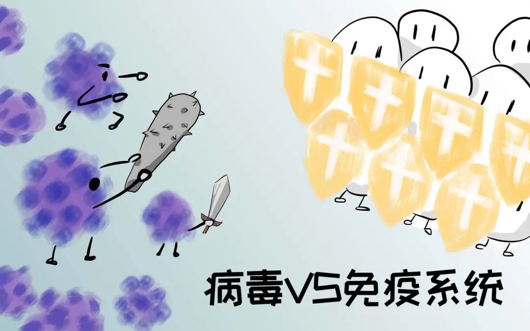 辟谣特工队｜得了系统性红斑狼疮能接种HPV疫苗吗？可以