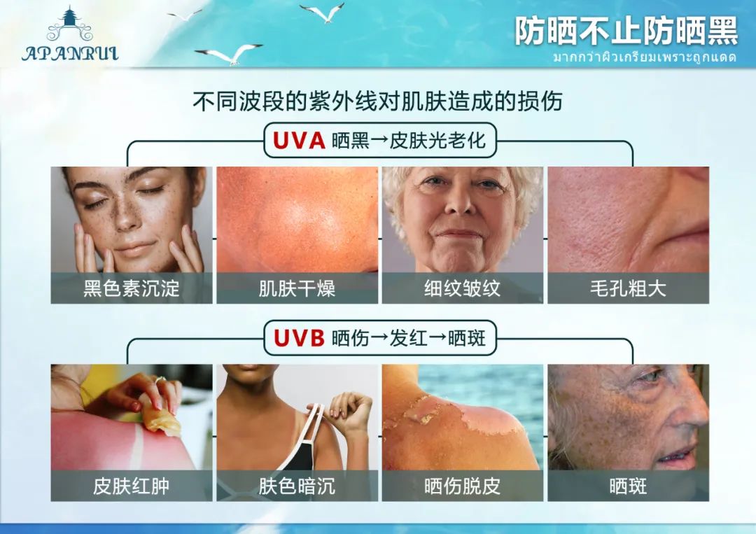 泰国人用什么防晒,泰国人参防晒