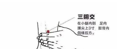 脾胃不好胃口差？按摩身体这5个穴位，让你远离脾胃虚弱