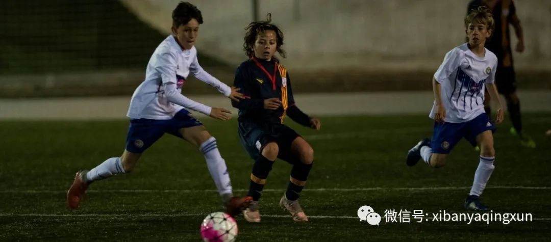 青少年联赛集锦,青少年学校足球联赛