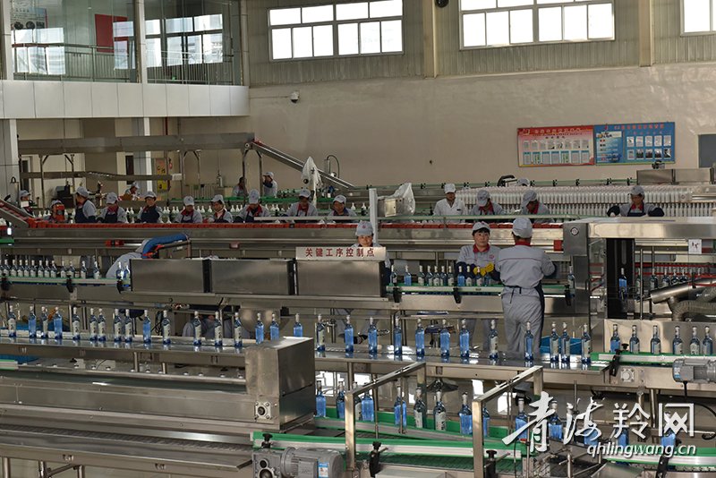 坚持稳中求进做好六稳六保,抓六稳促六保争先进位