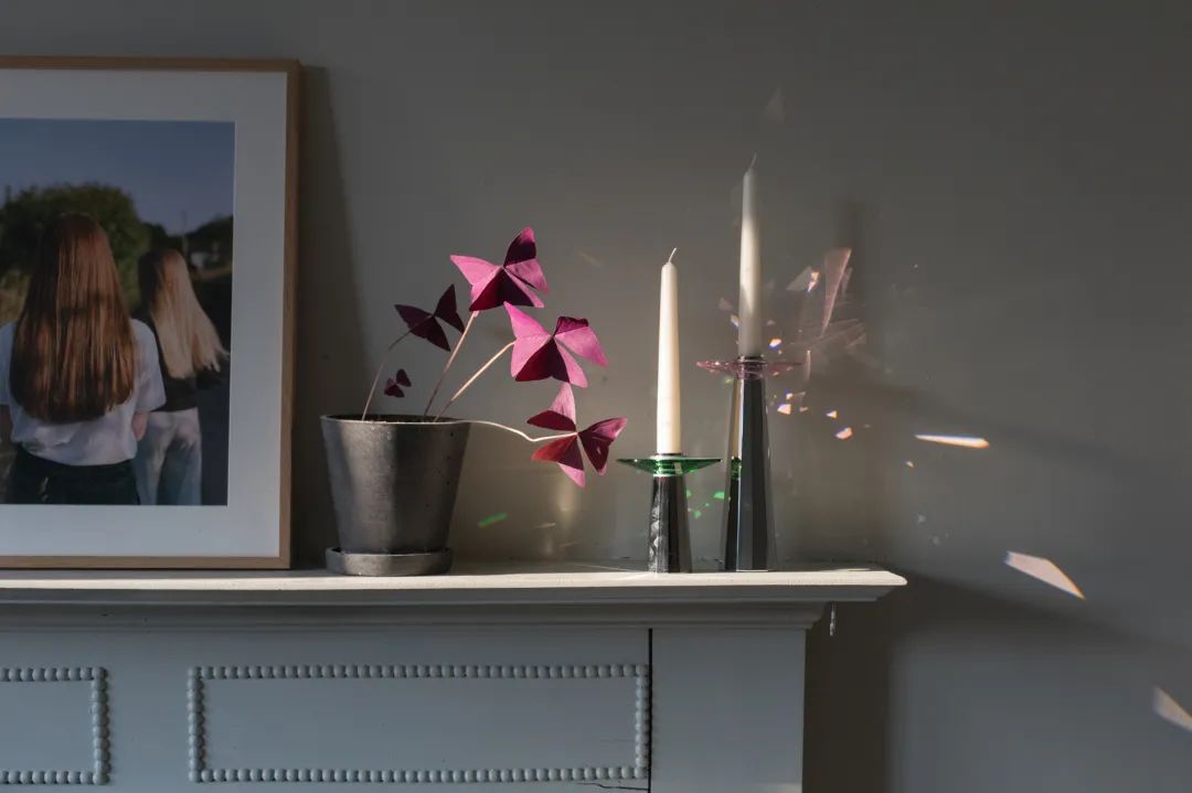 #ADLovesSalone｜线上虚拟家居展；PoltronaFrau色彩系统；Minotti近期新品